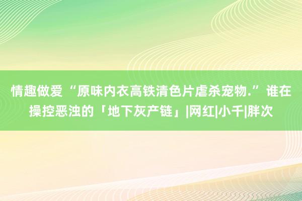 情趣做爱 “原味内衣高铁清色片虐杀宠物.” 谁在操控恶浊的「地下灰产链」|网红|小千|胖次