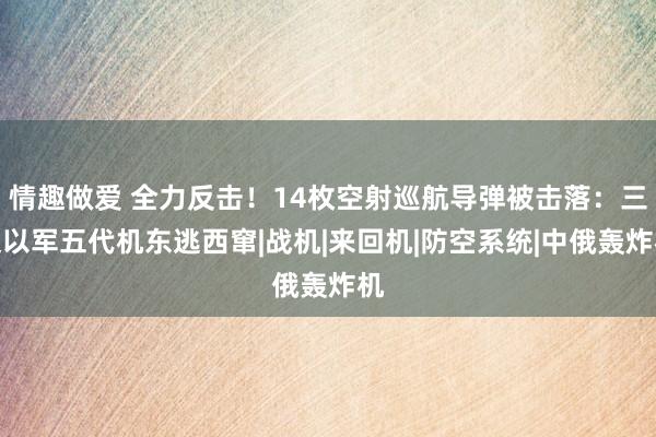 情趣做爱 全力反击！14枚空射巡航导弹被击落：三架以军五代机东逃西窜|战机|来回机|防空系统|中俄轰炸机