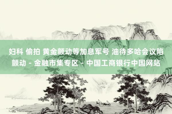 妇科 偷拍 黄金颤动等加息军号 油待多哈会议陷颤动－金融市集专区－中国工商银行中国网站