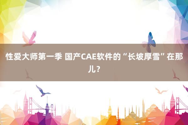 性爱大师第一季 国产CAE软件的“长坡厚雪”在那儿？