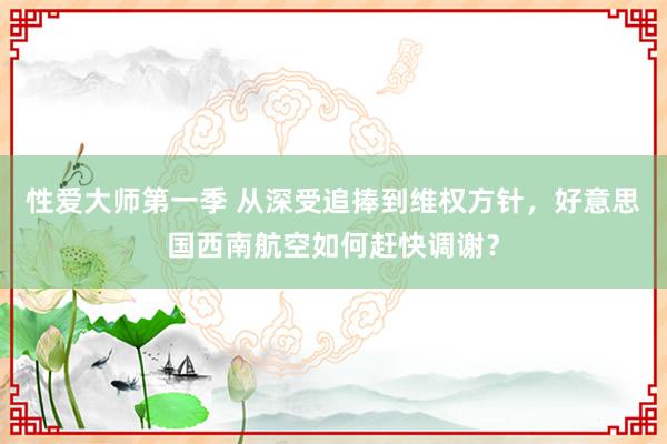 性爱大师第一季 从深受追捧到维权方针，好意思国西南航空如何赶快调谢？