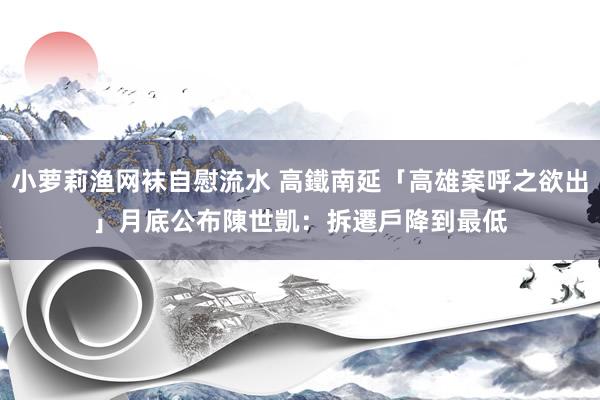 小萝莉渔网袜自慰流水 高鐵南延「高雄案呼之欲出」月底公布　陳世凱：拆遷戶降到最低