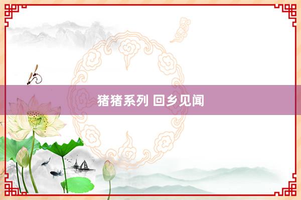 猪猪系列 回乡见闻